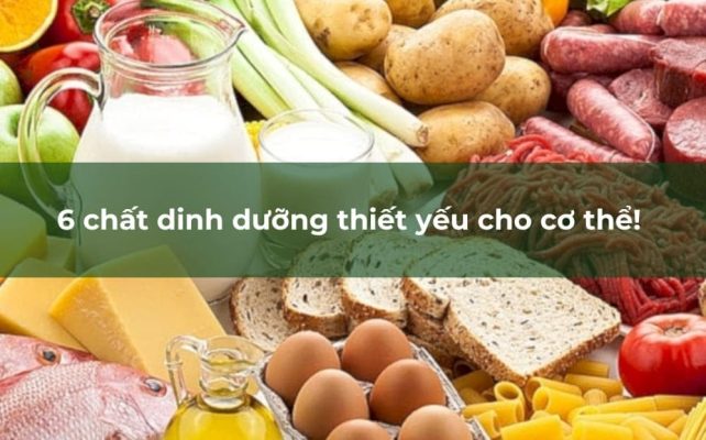 6 chất dinh dưỡng thiết yếu cho cơ thể