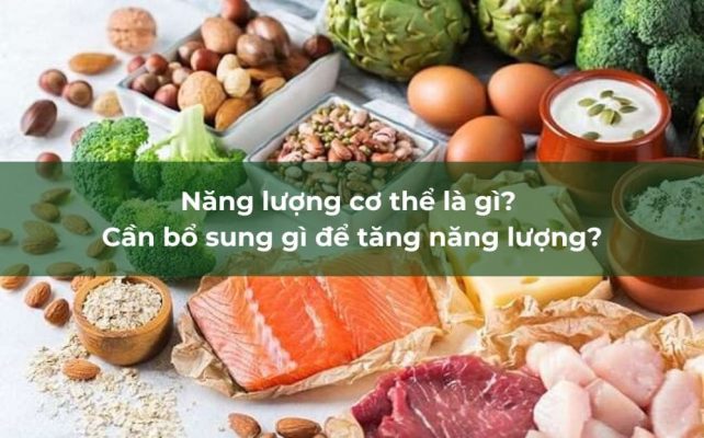 Năng lượng cơ thể đóng vai trò quan trọng trong việc duy trì sức khỏe và năng suất làm việc.