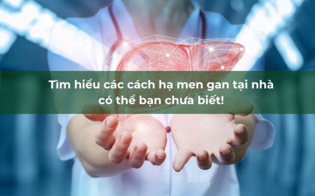 Tìm hiểu các cách hạ men gan tại nhà có thể bạn chưa biết