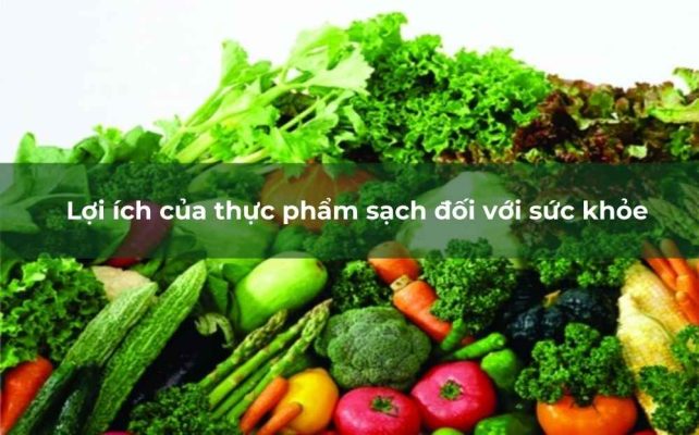 Thực phẩm sạch không chỉ mang lại lợi ích trực tiếp cho sức khỏe mà còn đóng vai trò quan trọng trong việc bảo vệ môi trường và thúc đẩy phát triển bền vững.