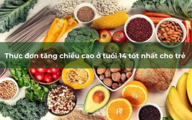 Ở độ tuổi 14, trẻ bước vào giai đoạn dậy thì, là thời kỳ quan trọng mà các yếu tố sinh lý tác động mạnh mẽ đến sự phát triển chiều cao