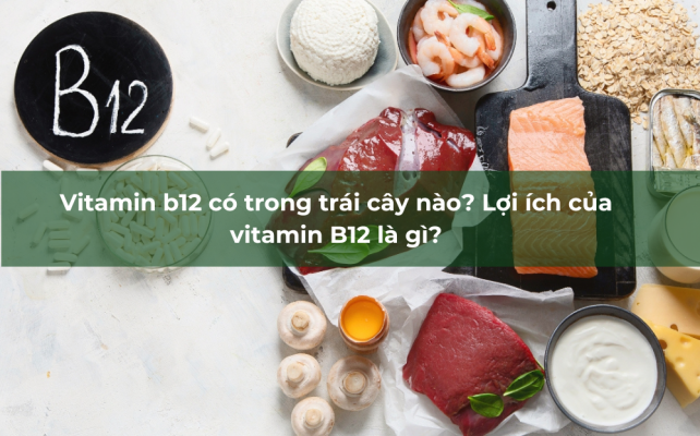 Vitamin B12 (hay còn gọi là cobalamin) là một vitamin tan trong nước có vai trò cực kỳ quan trọng đối với sức khỏe của con người